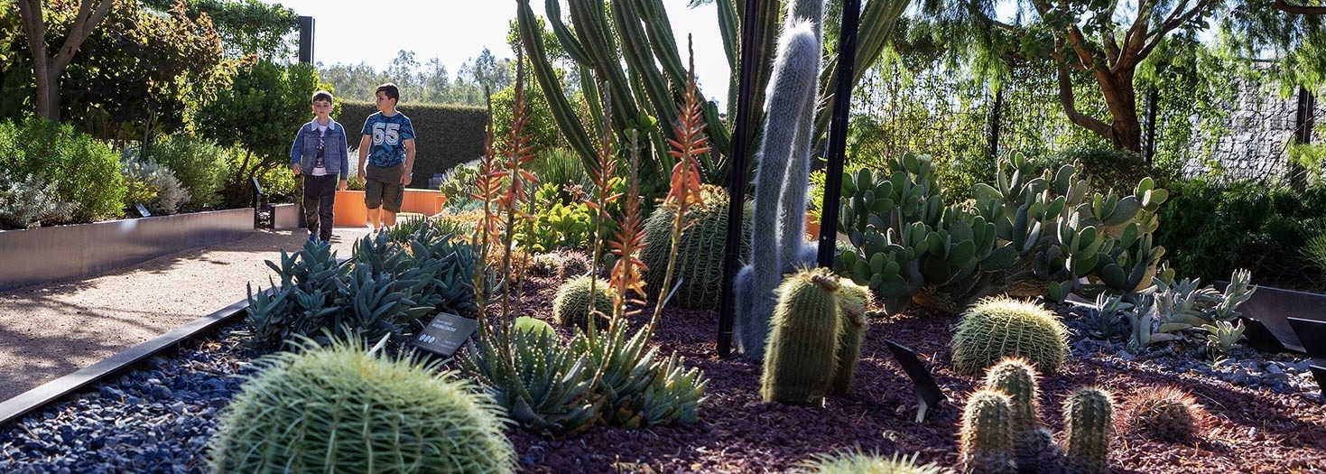 Cactus_Discovery_Garden_RPP-Arboretum-Dec-2019.jpg