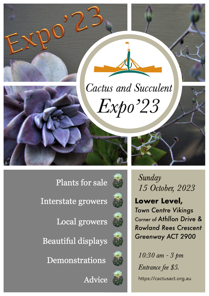 Expo'23 promotional flyer